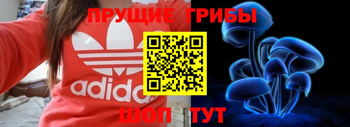 Кудрово  Псилоцибиновые грибы мухоморы  Галлюциногенные грибы Psilocybine cubensis  Вход с VPN 